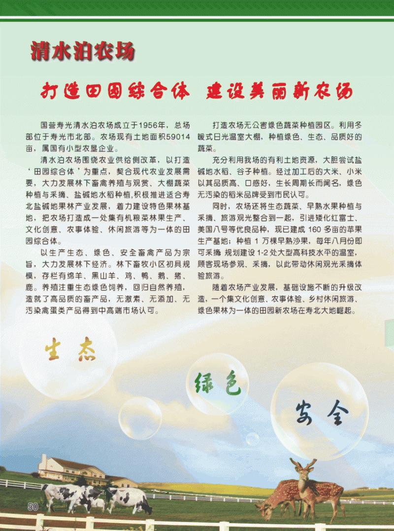 lorem ipsum dolor sit