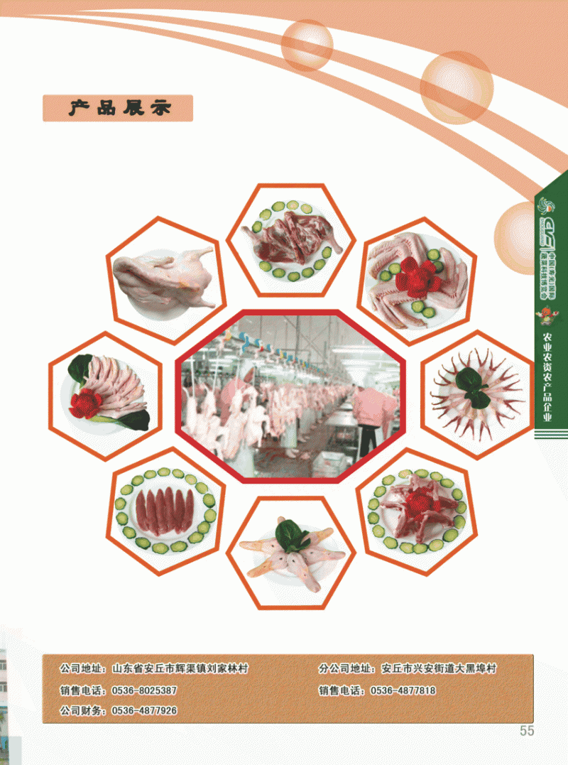 lorem ipsum dolor sit