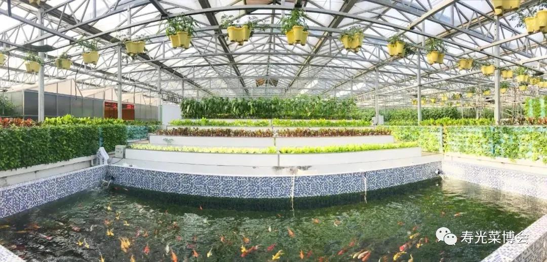 微信图片_20200418083957