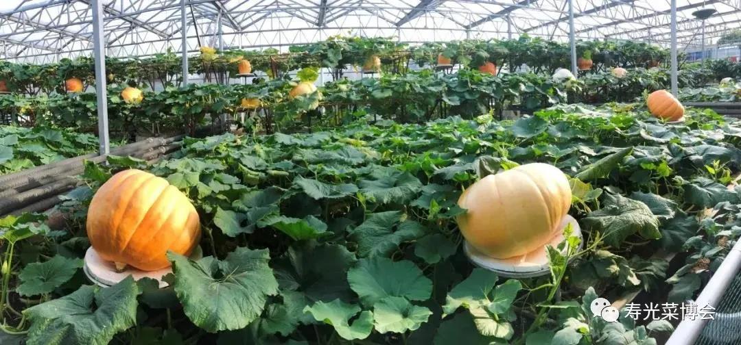 微信图片_20200418084019